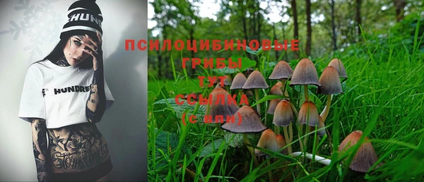 синтетический гашиш Армянск
