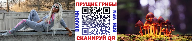 как найти закладки Саянск Галлюциногенные грибы Psilocybine cubensis